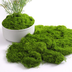 Simulated Moss Turf Landscaping, Bionic Fake Moss Micro-Landscape Arrangement, Lawn Bonsai, Potted Plant Pavement Decoration
