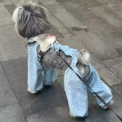 Dog Summer Thin Breathable Pet Four-Legged Dust-Proof Pants Anti-Dirt Pants for Bichon, Pomeranian, Maltese, Small and Medium-Sized Dogs