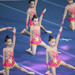 Aerobics Clothing/Artistic Gymnastics Student Competition/Cheerleading Performance Clothing Kindergarten Aerobics Clothing