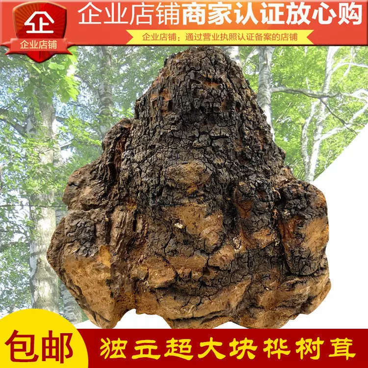 天然香茸 1kg-