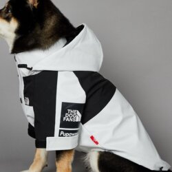 American Pure White Trendy Brand Windproof and Rainproof North Dog Face New Large Dog Raincoat Pet Jacket