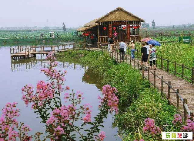 桃花岛图片