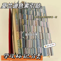 Morandi Index Tabs Label Stickers Trendy Sticky Notes Small Strips Marking Paper Strong Adhesive Classification Catalog Bookmark Stickers
