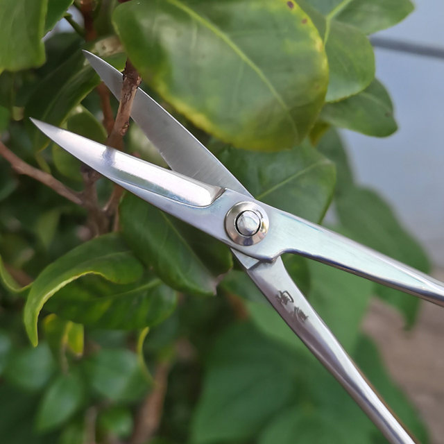 Tao Ya hand-forged pruning shears bonsai shape potted stainless steel ...