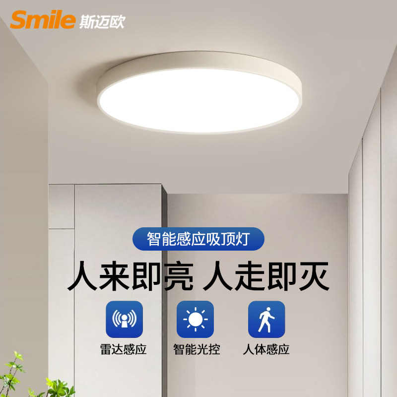 Human Body Induction Ceiling Light | Emergency LED Lighting for ...