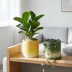 Simple Plain-Fired Gradient Matcha Green Ceramic Straight Flower Pot, Green Plant Clay Pot, Breathable Large Diameter Flower Pot