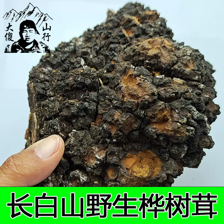 黄桦树叶子