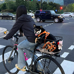 Suitable for Giant Bicycles Rear Rack, Mountain Bike Quick-Release Rear Rack, Can Carry People, Tail Rack Original Accessories Collection