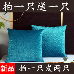 Nordic Sofa Pillow Cushion Living Room Square Pillow Headboard Backrest Office Lumbar Support Velvet Pillowcase