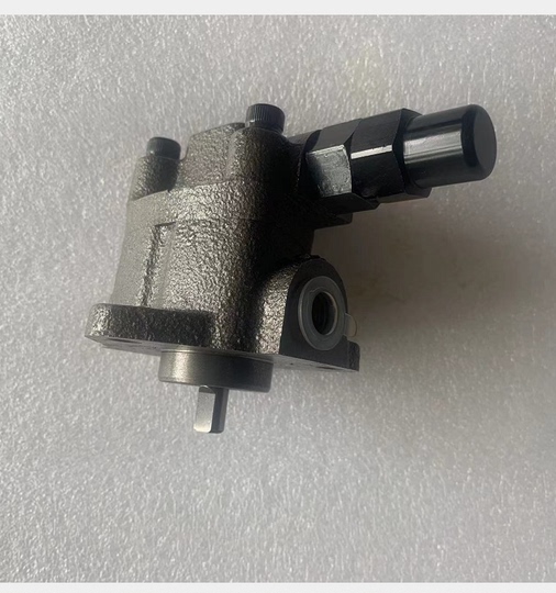 Pompa Cicloide TOP-12A Per Olio E Liquidi - ROP/TOP Serie Per Edilizia E Agricoltura - Foto 10