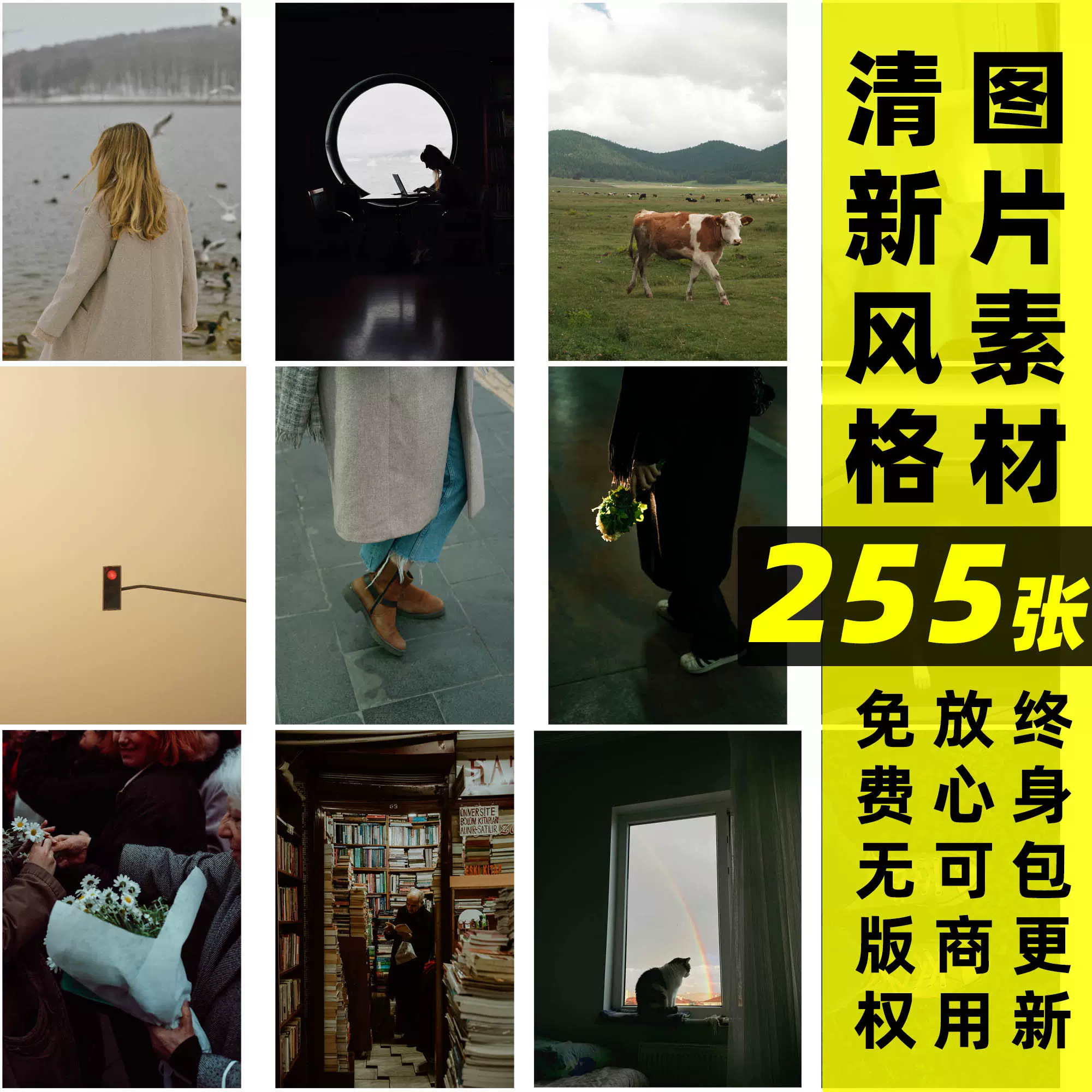 可商用视频素材动物家畜野生动物昆虫鱼鸟高清画质自媒体设计师, image size:2000x2000