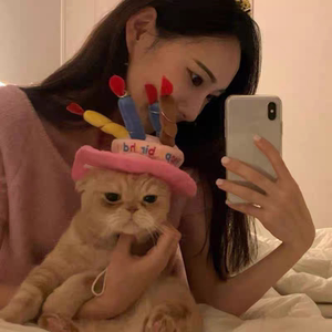 
Pet cat party decoration hat dress up photo props dog headdress toy birthday candle letter head hoop