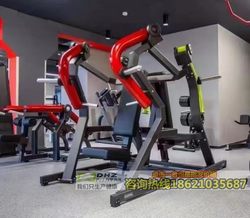 Dhz Big Beard Y905Z Bilateral Chest Press Trainer Seated Flat Press Training Machine Bumblebee Trainer Gym