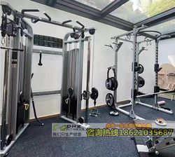 Dhz/Bearded Double Arm Machine U3017 Double Arm Machine Little Flying Bird Comprehensive Training Device Commercial Fitness Large Frame