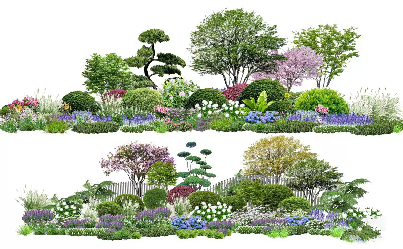 花境植物組團組合搭配SU模型園林景觀樹木喬灌木花卉花鏡草圖大師-Taobao