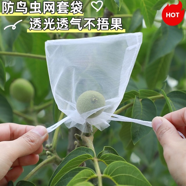 Fruit bag anti -bird, bird bag peach, peach, pomegranate pear special protection fruit tree bag bag mesh cover
