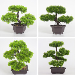【With Pot】Artificial Plant Pine Needle Thuja Plant Bonsai Green Plant Potted Plant Indoor Decorative Green Plant Ornament