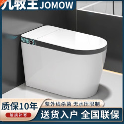 Genuine Smart Toilet, Fully Automatic, All-In-One, No Water Pressure Limit, Siphon Type, Instant Heating, Siphon Toilet