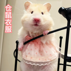 Hamster special small clothes, all-season universal sweater skirt