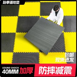 Professional Taekwondo Floor Mat, Thickened Martial Arts Sparring Gym Foam Interlocking Anti-Fall Gymnastics Dance Training Mat