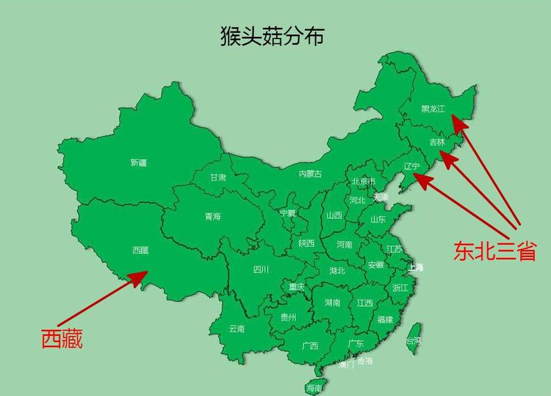 猴头菇挑得好，名品滋补又养胃！(图5)