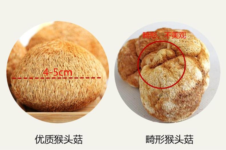 猴头菇挑得好，名品滋补又养胃！(图10)