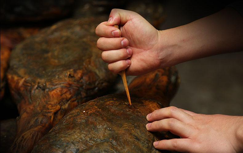 挑选金华火腿,美食意犹未尽(图12) 挑选金华火腿,美食意犹未尽(图12)