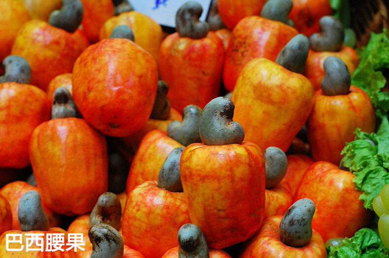 挑选腰果小窍门，美食养生式消耗脂肪(图3)