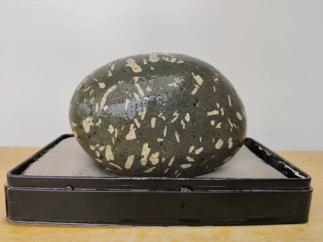 梅花石原石1739“菊花蛋”（花型好，石型好，磁性强，养生好）-Taobao