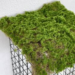 Simulated green plants, moss skin, moss lawn, window soft decoration, moss green space wall, plant wall decoration, artificial turf