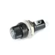 Cầu chì sạc xe ba bánh điện 10A/250V pin xe cầu chì 2cm cầu chì sạc cầu chì master Cầu chì