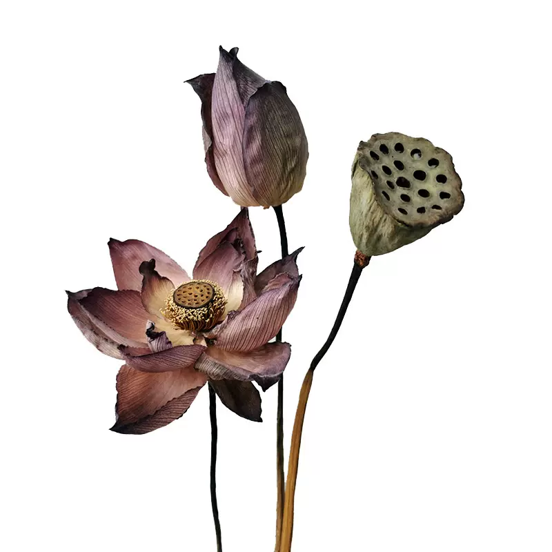 新品禪意秋色中式室內家居裝飾品自然真乾燥花荷花蓮蓬荷葉