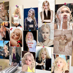 60 Rose Park Caiying Poster Wall Stickers ins Style High-Looking Popular Room Dormitory Bedroom Decorative Wall Wallpaper