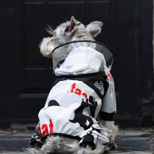 Дорог собака маленькая собака Тедди Корги на четыре фута водонепроницаем