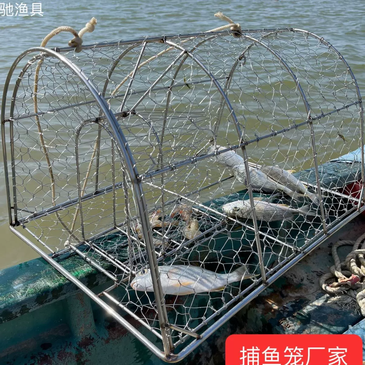 三馳漁具不鏽鋼捕魚籠【1個】魚籠螃蟹籠抓魚籠網籠加重沉底拱形-Taobao