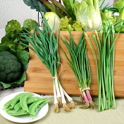 Simulated Vegetables Celery Green Onion Garlic Sprouts Celery Green Vegetables Model Cabinet Model House Decoration Hanging Ornaments Photography Props