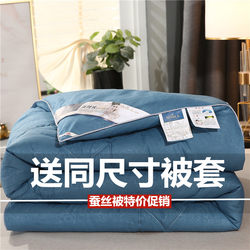 Tongxiang 100% Pure Cotton Silk Quilt, 4kg Winter Quilt, Thickened and Warm, 3kg Spring and Autumn Quilt, Single/Double Quilt Core