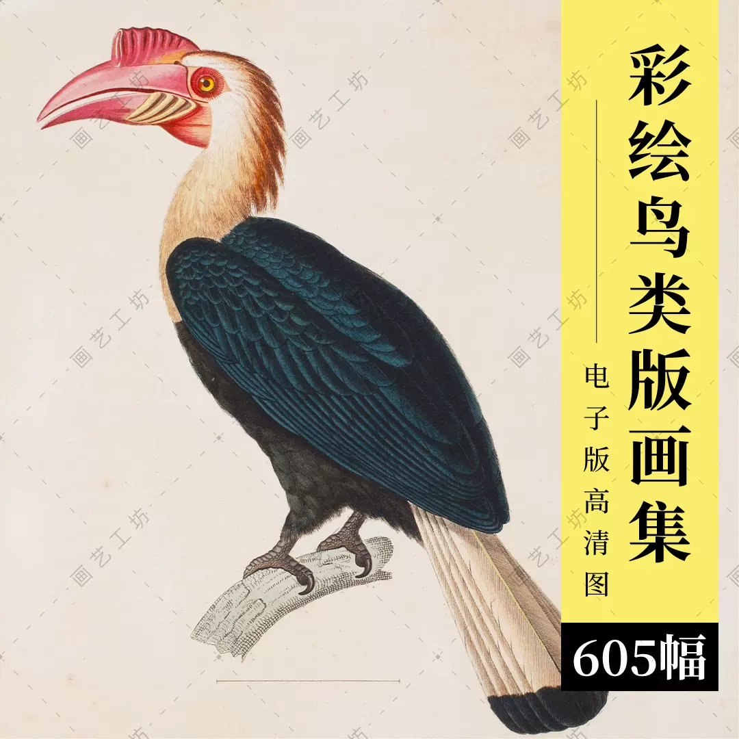 日本未入荷 色鉛筆画A4 1 文鳥 絵画 - www.cfch.org