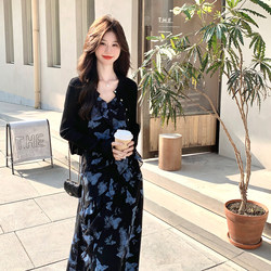 French Butterfly Print Dress Set for Women 2026 New Summer Style, Stunning and High-End Black Cardigan Two-Piece Set