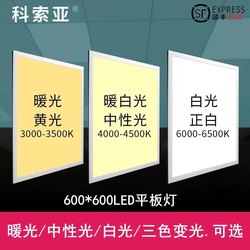 Integrated Ceiling Three-Color Dimmable 600X600 Led Panel Light Neutral Light Warm Light 300X600X1200 Panel Light