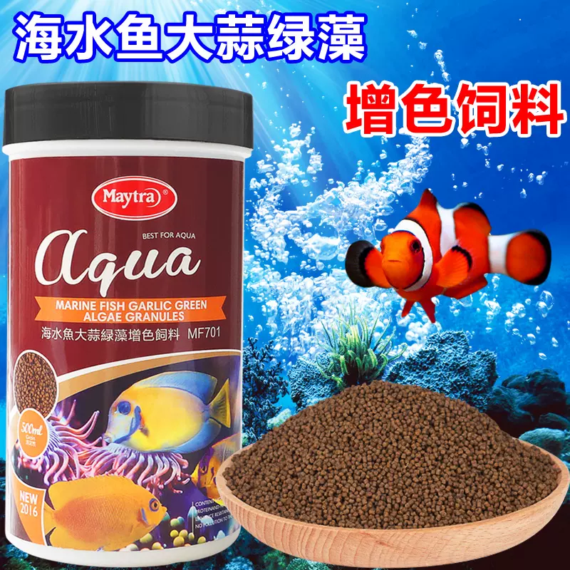 美彩花园鳗虾虎小丑鱼五角虎金眼吊紫纹吊