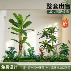 Simulated Green Plant Landscape, Tropical Plant Landscaping Combination, Sales Office Layout, Front Desk, Shopping Mall Window Decoration, Banana Tree