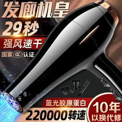 Hair Dryer for Home and Salon Use, Strong Wind, Negative Ion Hair Care, Silent, Quick-Drying, High-Power Hair Dryer for Students