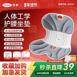 Kefu Lumbar Support Cushion Seat Cushion Ergonomic Chair Backrest for Long Sitting, Anti-Hunchback