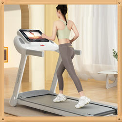 Lijiu Jia E9 Home-Use Large Treadmill, Silent and Foldable, Suitable for Home Walking and Gym Use