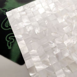 Afsj Shell Mosaic Natural Ultra-White Seamless Interlocking Fish Pond Living Room Entrance Background Wall Tiles Self-Adhesive