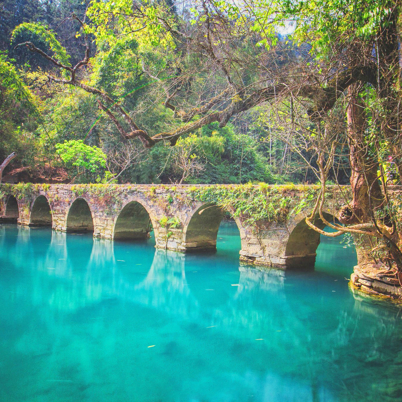 贵州贵阳到黄果树梵净山小七孔西江千户苗寨天眼7日6晚自由行