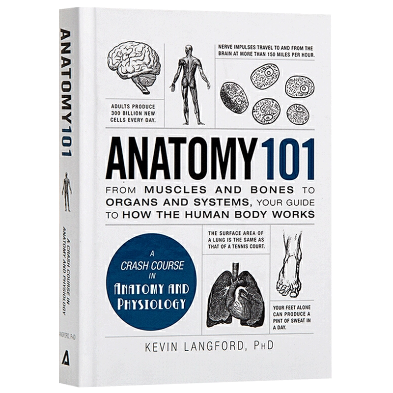 Anatomy 101 101系列解剖学精装英文原版医学相关丛书进口英语书籍