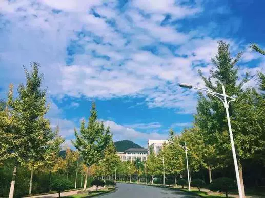 浙江农林大学（东湖校区）图片