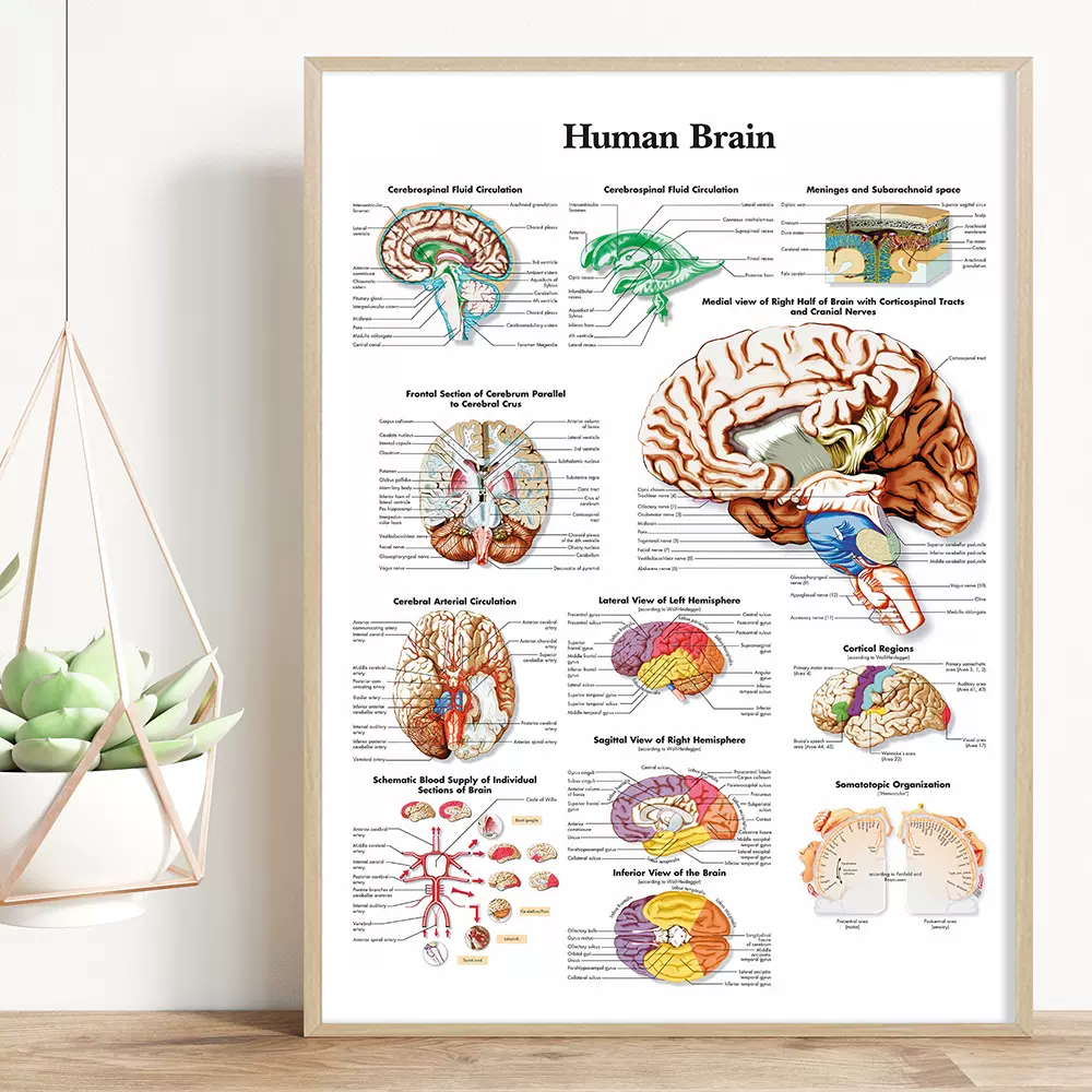 心理咨询室卡通装饰画马斯洛需求层次理论图挂画儿童心理健康壁画